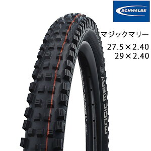 Vx MAGIC MARY i}WbN}[jSuper Ground / ADDIX Soft 27.5C` 29C` SCHWALBE