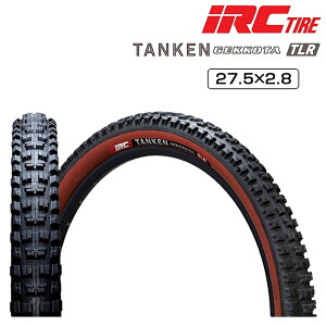 ACA[V[ TANKEN GEKKOTA i^PQbR^j27.5×2.8 `[uXfB IRC