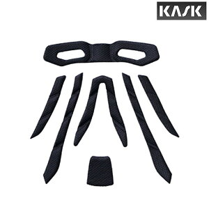 JXN PROTONE ICON INTERNAL SPARE PAD ivg[ACRC^[lXyApbhj KASK ꕔFTCYŋz [ yjo