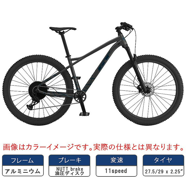 楽天市場】ジーティー 2026年モデル AVALANCHE ELITE （アバランチェ 