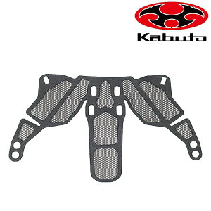 I[W[P[Jug AERO-R2 iGA-R2jA.I.lbg OGK Kabuto