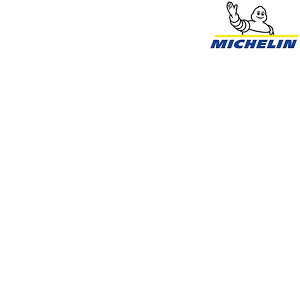 ~V FOLDING CONTAINER i܂肽݃Reij20L MICHELIN