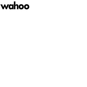 t[ ELEMNT ACE iGgG[XjANZT wahoo