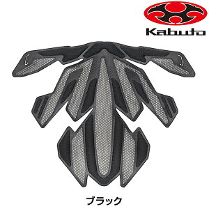 I[W[P[Jug REZZA-2pA.I.lbg OGK Kabuto