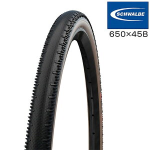 Vx SCHWALBE G1 R iVxW[Rj650×45B Pu[r[h SCHWALBE