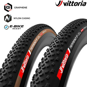 BbgA TERRENO T60 ie[mT60j`[uXfB700×40C 700×45C tbNXΉ Vittoria 