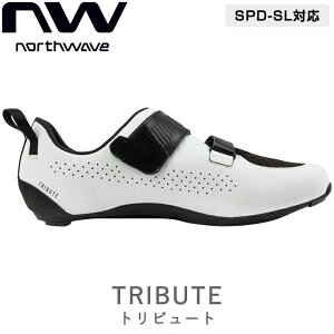 m[XEF[u TRIBUTE igr[gjSPD-SLrfBOV[Y NORTHWAVE 