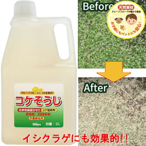 スプレー コンクリート Diy 除草剤の人気商品 通販 価格比較 価格 Com スプレー コンクリート Diy 除草剤の人気商品 通販 価格比較 価格 Com