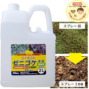 スプレー コンクリート Diy 除草剤の人気商品 通販 価格比較 価格 Com スプレー コンクリート Diy 除草剤の人気商品 通販 価格比較 価格 Com