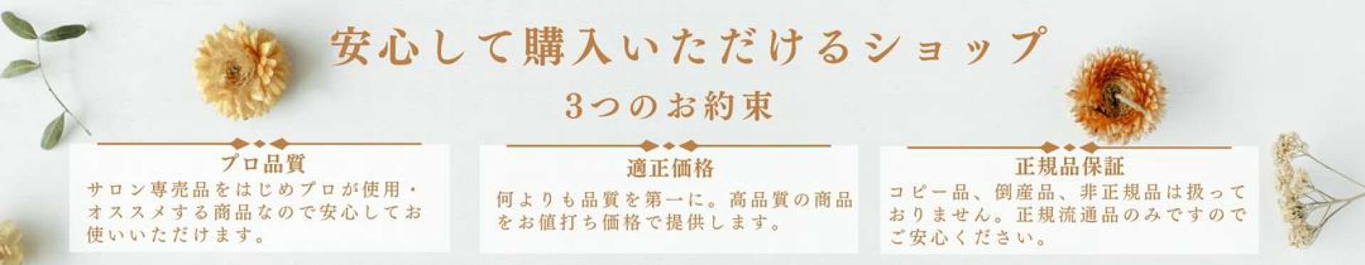 サロン専売品 正規品 ネット販売