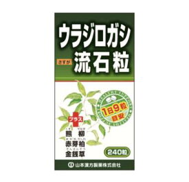 【送料込】山本漢方製薬 ウラジロガシ流石粒(240粒)