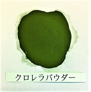 NpE_|琬E̗pynet20gz12:00܂ł̒ŗ͂