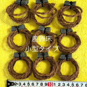 IWi_J̎Yy^^Cv5A^^Cv5zv10ZbgB12:00܂ł̒ŗ͂