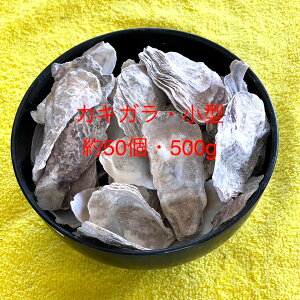 ^Ō`琅PHpyk(JLKj3.0cm`5.0cmy50Zbgz12:00܂ł̒ŗ͂