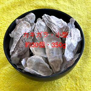 ^Ō`琅PHpyk(JLKj3.0cm`5.0cmy30Zbgz12:00܂ł̒ŗ͂