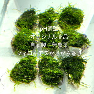 ƐEB[XVKoiS_򁚎Ɛ犪PHpyEB[X犪E5ZbgzTCY(5cm×10cmj}փRpNgŔv܂B