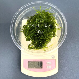 S_򁚎ƐyEB[XzyNet10gzEPƍw̏ꍇ́sԎws|XgɂȂ܂B12:00܂ł̒ŗ͂