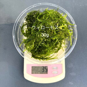 S_򁚎ƐyEB[XzyNet30gzEPƍw̏ꍇ́sԎws|XgɂȂ܂B12:00܂ł̒ŗ͂