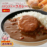 ＼九州からの贈り物／ ご飯のお供 訳あり 国産鶏ハンバーグカレー 4袋 中辛 レトルトカレー 長期保存 食…