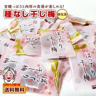＼九州からの贈り物／ 小袋 干し梅 おつまみ 種なし まろやか 干し梅 大容量 約165g 個包装 小分け 訳あ…
