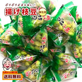 ＼九州からの贈り物／ 小袋おつまみ 揚げ枝豆 約100g 塩味 小分け 訳あり お徳用 小腹 お酒 送料無料 個包装 えだまめ ポイント利用 爆買 ポイント消化 訳あり食品