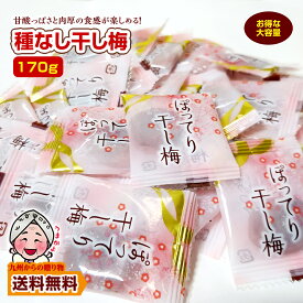 ＼2点以上購入で使えるクーポンで5%OFF／ 小袋 干し梅 おつまみ 種なし まろやか 干し梅 大容量 約170g 個包装 小分け 訳あり お徳用 お酒 銀座 おつまみ 食品 おやつ ポイント利用 爆買 ポイント