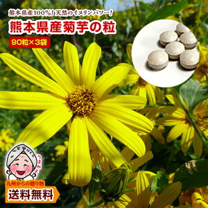 yB̑蕨z e F{Yegp e̗(90×3)3 ܃erŘb Ckp[ LNC Y F{ BY Ck |Cgp  |Cg