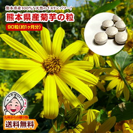 ＼九州からの贈り物／ 菊芋 熊本県産菊芋使用 菊芋の粒(90粒×1袋)約1ヶ月分 いまテレビで話題 イヌリンパワー お取り寄せ 送料無料 グルメ ポイント利用 爆買 ポイント消化