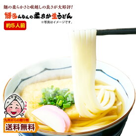 お試しうどん 送料無料 博多 あご出汁 博多んもん柔らか生うどん 5人前 乾燥ねぎ付き 半生麺 博多うどん うどん ポイント消化 わけあり ポイント利用 爆買