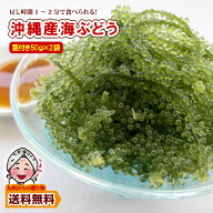 ＼九州からの贈り物／ 産地直送 海ぶどう(茎付き)50g×2袋 沖縄の海の宝 プチプチ食感 沖縄県産 エコ包装…
