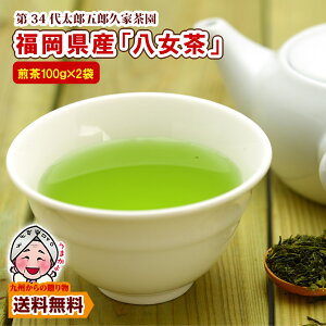  ˉƑ34㑾YܘYvƒwI100%x100g×2  Β 600N`̖  nYn 1000~ |Cgp  |Cg