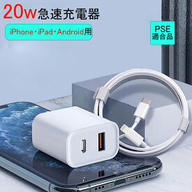 QISI AC充電器 ケーブルセット 20W 2ポート 急速充電 iPhone15充電器 USB C コンセント usb 電源コンセント type c pd対応 QC3.0 ACアダプター USB充電器 タイプ C コンセント ipad充電器 アダプタ コンパク