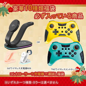 2026福袋 選べるガジェット6点 or Switch2コントローラー入り or ワイヤレス充電器入り 豪華10点福袋 30W急速充電器確定！ 充電ケーブル 変換アダプタ スマホケース フィルム ペットタグなど 店内大人気商品 ランダム封入 iPhone Android対応 お楽しみ福袋 2025 2026