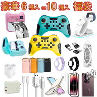 2026福袋 選べるガジェット6点 or Switch2コントローラー入り 豪華10点福袋 30W急速充電器確定！ Switch…