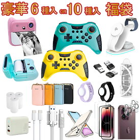 【在庫限り!早い者勝ち】2026福袋 選べるガジェット6点 or Switchコントローラー入り 豪華10点福袋 30W急速充電器確定! ワイヤレス充電器・キッズカメラ・電撃ラケットなど ランダム封入 iPhone Android対応 お楽しみ福袋 2025 2026
