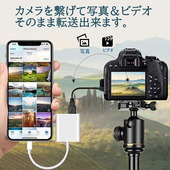 楽天市場 Lightning Usb 3 カメラ アダプタ Iphone 14 Pro Ipad Usb カードリーダー 最大2tbまで対応 Midi キーボード カメラ 接続可能 高速な写真転送 Usb 変換 アダプタ Otg 変換アダプタ 設定不要 操作不要 スーパーdeal Qisi楽天市場店