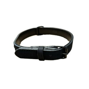 QISI 名入れ無料 犬 首輪 5サイズ 5色 選べる 合皮製 おしゃれ 小型犬 中型犬 大型犬 トイプードル 柴犬 コーギー ラブラドール 対応 軽量 柔らかい 高耐久 調整可 ギフト 名前入り 迷子防止 首