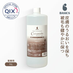 yzBASICS ZxZ~hCX`[Xv[ Ɩp 1Li畆  ێ VNveC Parasol p\wXPA xCVNXj