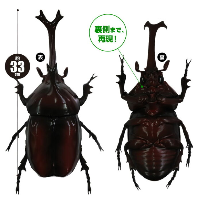 楽天市場 フィギュア カブトムシ 超リアル造形 フィギュア 衝撃 Megaサイズ リアル 虫 昆虫 プレゼント 誕生日 誕生日プレゼント キッズ 小学生 男の子 おもちゃ 虫 Qlabroom 楽天市場店