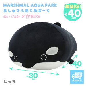 Ⴟ ʂ 傫   NX}X v[g  q a ̎q j̎q Mtg ̎q   킢 NbV V`  C K v[g