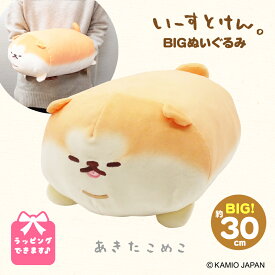いーすとけん。 あきたこめこ ぬいぐるみ 大きい 犬 ホワイトデー プレゼント 特大 いーすとけん ぬいぐるみ 人気 友達 子供 女の子 男の子 動物 可愛い 抱き枕 犬 秋田犬 NEW 女性 小学生 子ども