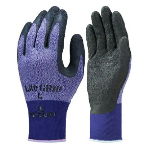 10ogi1o×10jSHOWA V[O[u CgObv 341 w VRSR[eBO