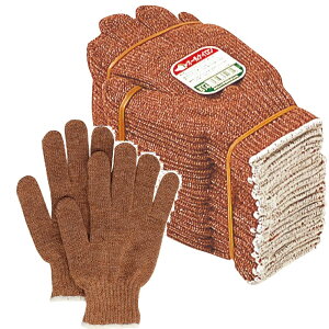 120oi10_[Xjӂ 614 iC 2{ i{jREt[TCY