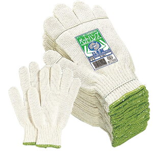 120oi10_[Xjӂ ybgnY 2{ҁi{jREt[TCY