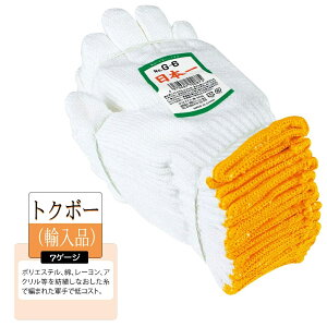 120oi10_[Xjӂ G-6 Vm { 2{ REt[TCY