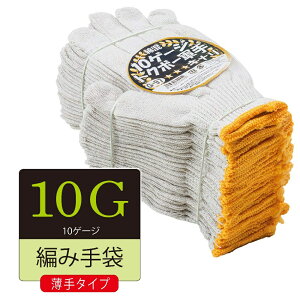 120oi10_[Xjӂ G-97 10Q[W gN{[ 2{ҁi{jREt[TCY