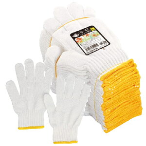 120oi10_[Xjӂ G-42 ~WR 2{