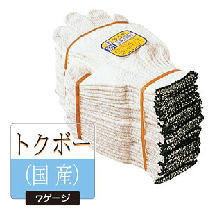 120oi10_[Xjӂ 681 el` 2{ҁi{jREt[TCY