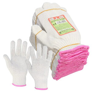 120oi10_[Xjӂ 7 wlR 2{ STCYEg₷߃TCY