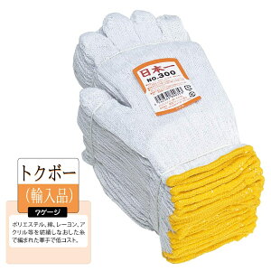 120oi10_[Xjӂ 300 {NO.300 2{ REt[TCY